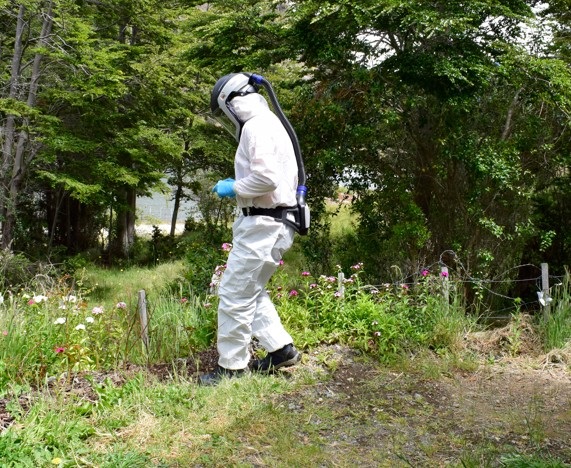 Salud confirma nuevo caso de Hantavirus en Aysén